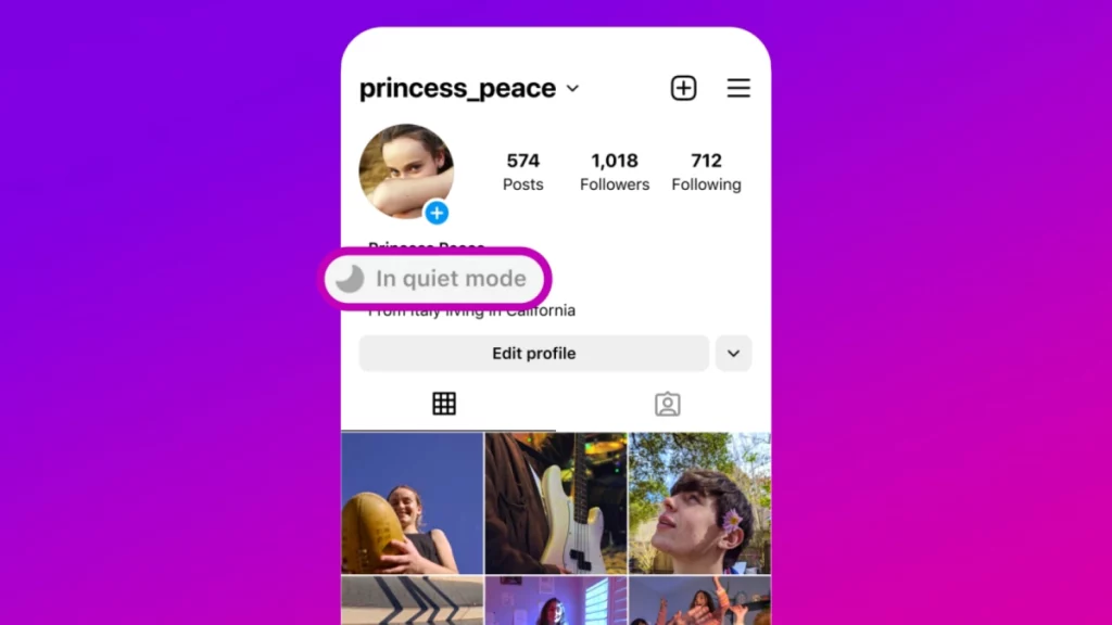 Alasan Pembuatan Fitur Quiet Mode Instagram